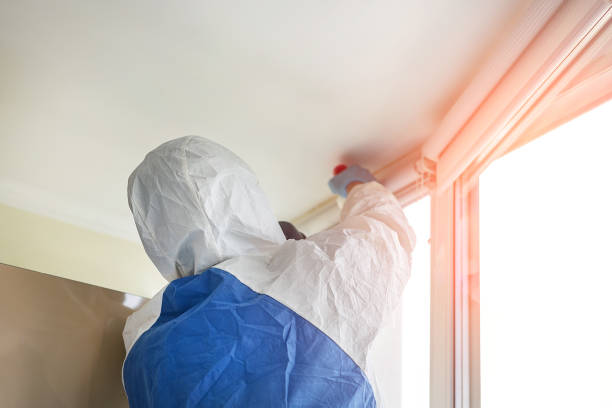 Best Mold Prevention Services  in Regency At Monroe, NJ